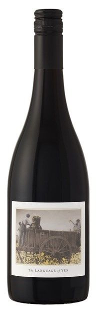 Language of Yes, Santa Maria Valley, Syrah 2020 75cl