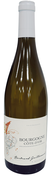 Domaine Bertrand Guillemaud, Bourgogne Cote d'Or, Chardonnay 2020 75cl