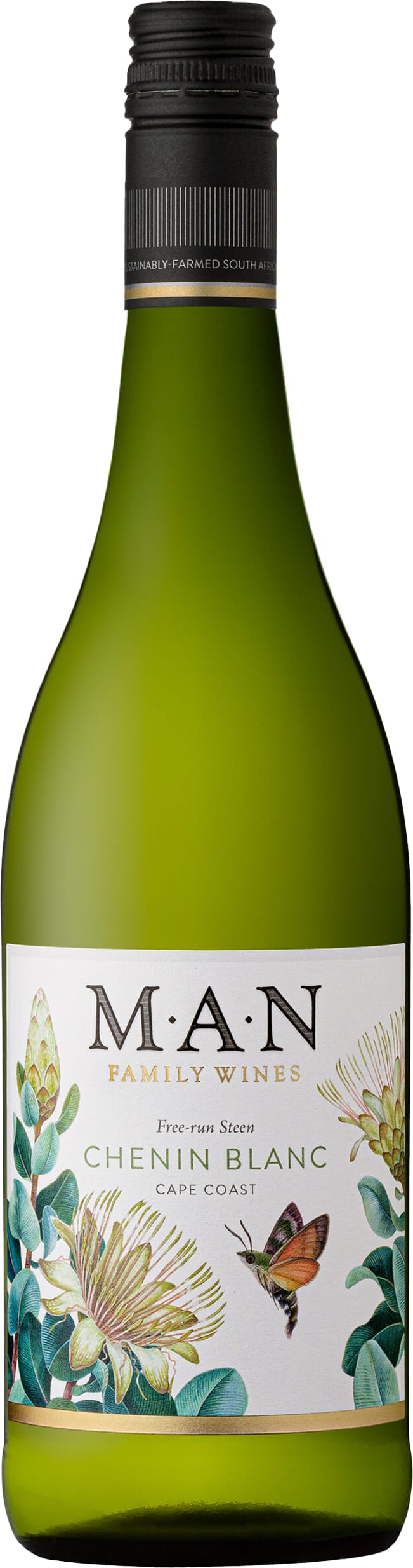 MAN Family Wines Free-Run Steen Chenin Blanc 2024 75cl - Just Wines UK