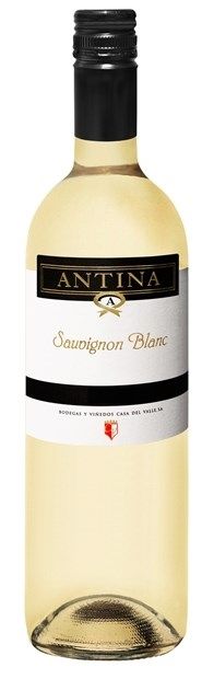 Casa del Valle, 'Antina', Tierra de Castilla, Sauvignon Blanc 2023 75cl