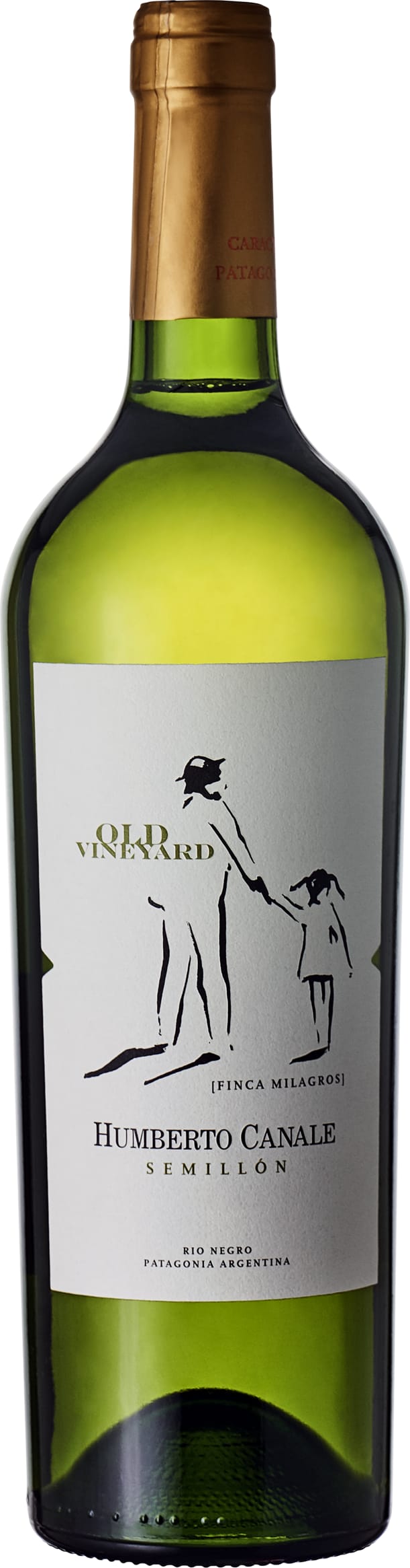 Humberto Canale Old Vine Semillon 2022 75cl - Just Wines UK
