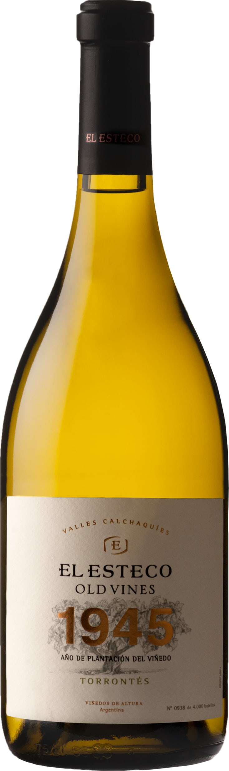 El Esteco Old Vines Torrontes 2023 75cl - Just Wines UK