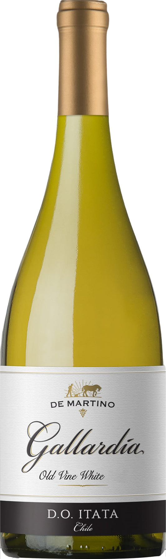 De Martino Gallardia Old Vine White 2018 75cl - Just Wines UK