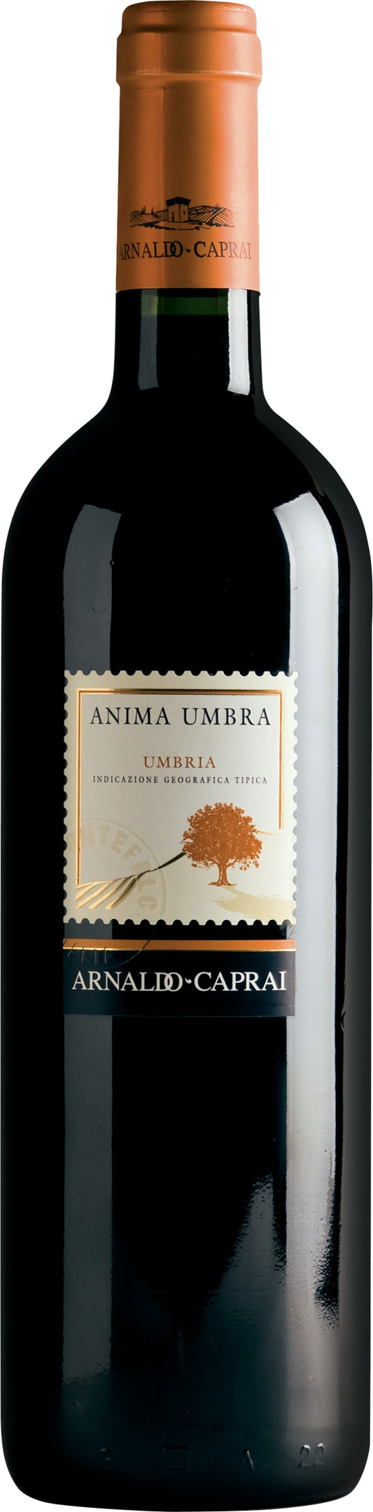 Arnaldo Caprai Anima Umbra Rosso 2020 75cl - Just Wines UK