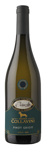 Collavini 'Villa Canlungo', Collio, Friuli-Venezia Giulia, Pinot Grigio 2023 75cl