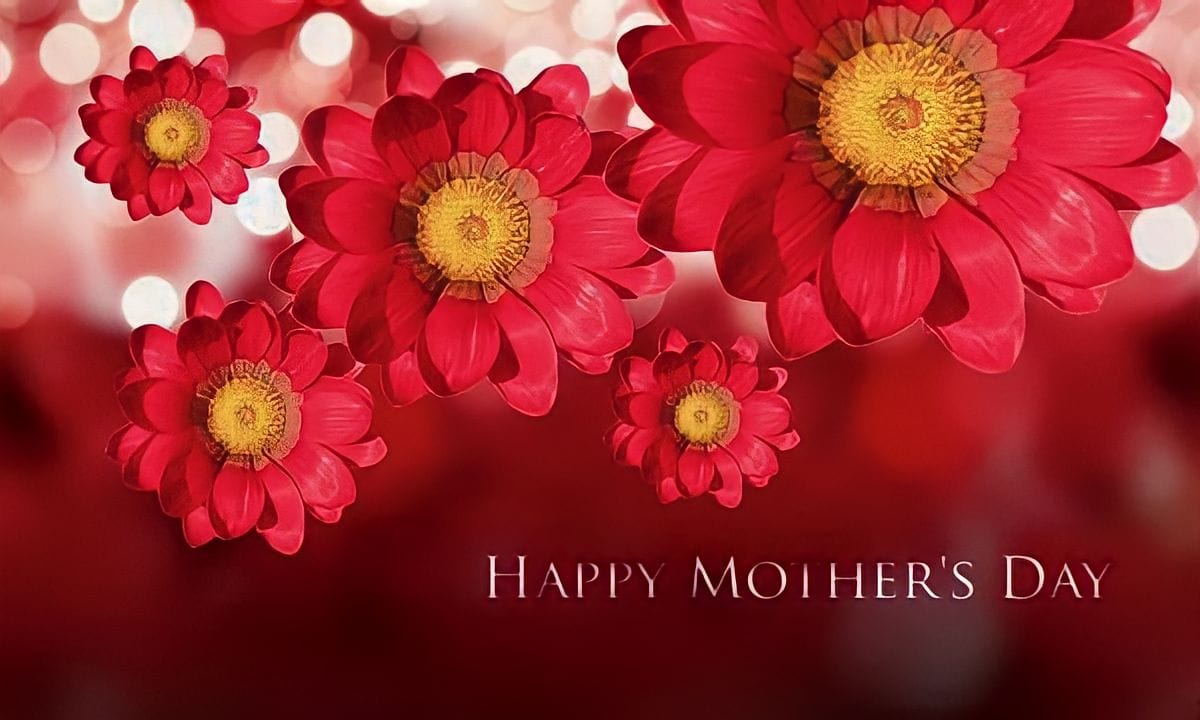 Mothers Day Gift Card - Just Wines UK 